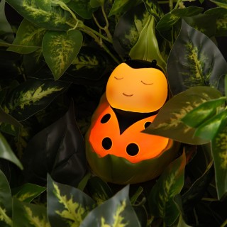 Petite lampe veilleuse Coccinelle