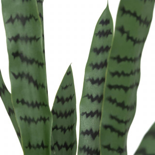 Sansevieria artificielle avec pot plastique - H. 90 cm - Vert