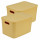Lot de 2 boîtes avec couvercle CHROMACASE - 15,5 L - Ocre