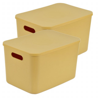 Lot de 2 boîtes avec couvercle CHROMACASE - 15,5 L - Ocre