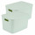 Lot de 2 boîtes avec couvercle CHROMACASE - 15,5 L - Sauge
