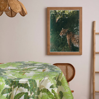 Nappe en toile cirée ronde motif tropical MONKEY - Diam. 150 cm