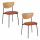 Lot de 2 chaises avec pieds en métal JAISA - Ambre