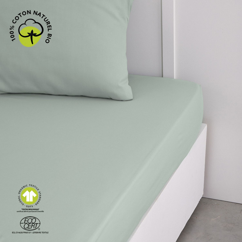 Drap housse 2 places - 100% coton BIO - 160 x 200 cm - Vert céladon
