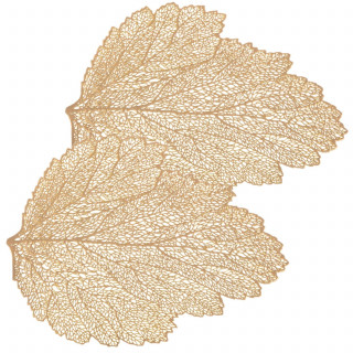 Lot de 2 sets de table motif feuille - 47 x 36 cm - Doré
