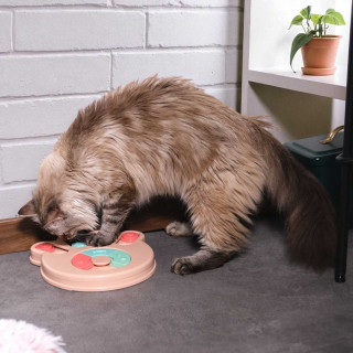 Jeu d'intelligence pour chien et chat