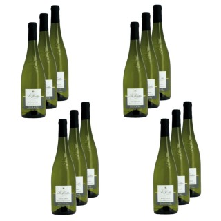 Lot 12x Vin blanc Sauvignon La Javeline AOP - Bouteille 750ml