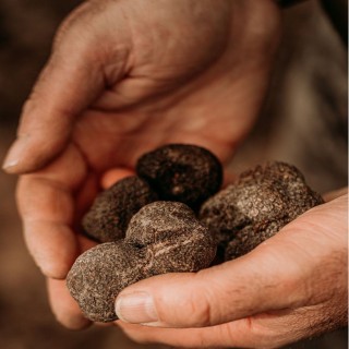 Confit de cerises à la truffe d’été 2,2% - Pot 110g